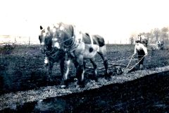 Burnside Farm 1912 ploughing competition (Robert Ramsay u/18 winner)