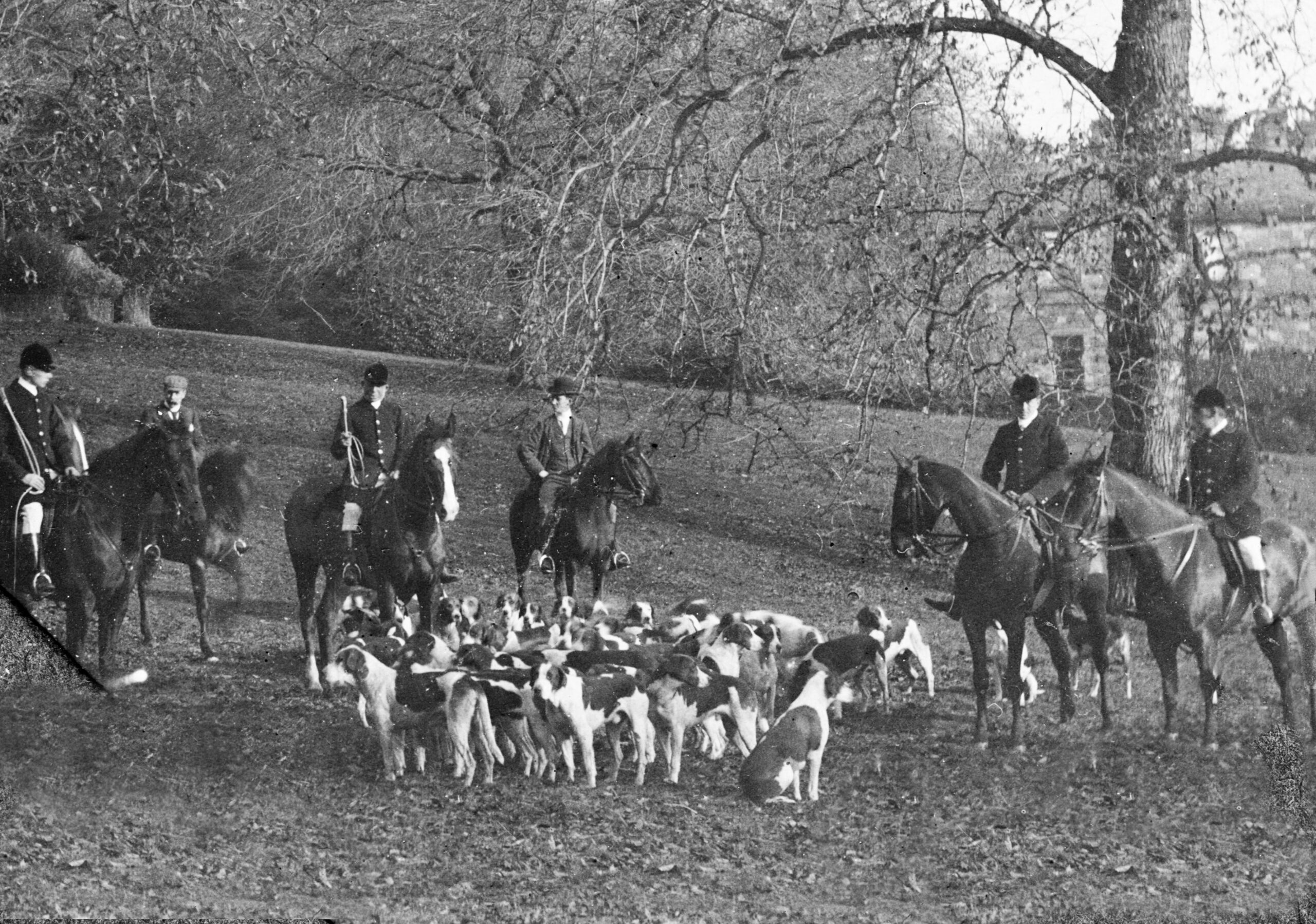 Tayport Heritage Trail - Board 12 - Fife Hunt in the mansion grounds early 1900s
