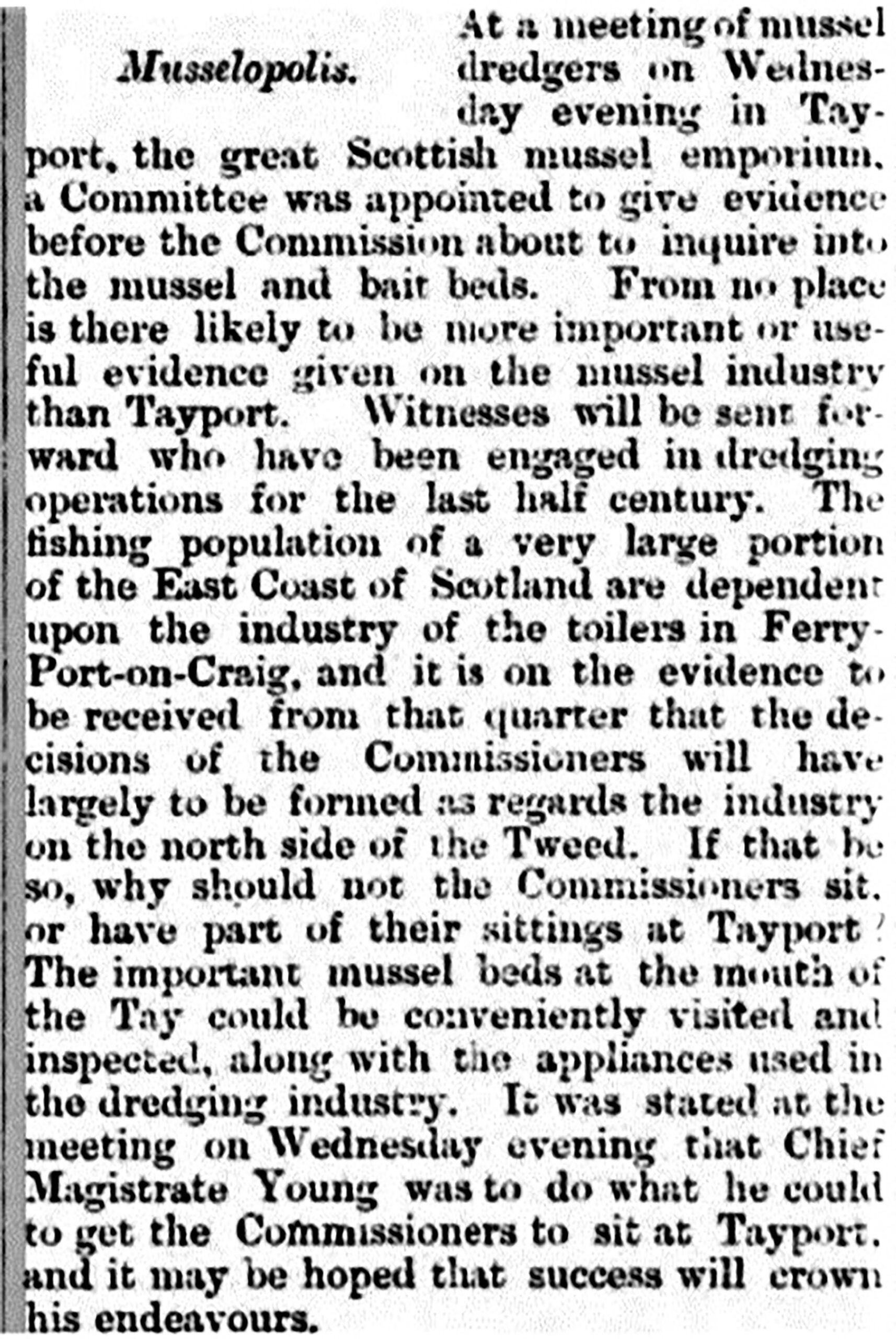 Tayport Heritage Trail - Board 21 - Sept. 1888 Musselopolis press article