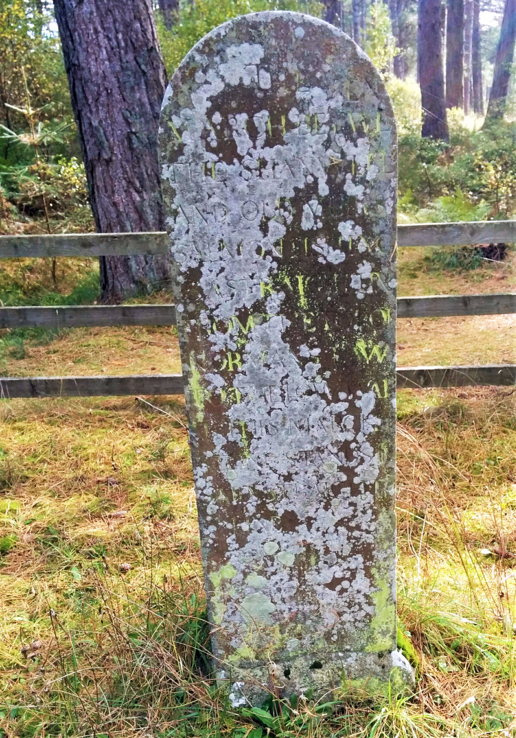 Tayport Heritage Trail - Board 21 - Scotscraig Estate salmon fishery boundary stone at Tentsmuir